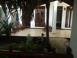 Baby Elephant Green House