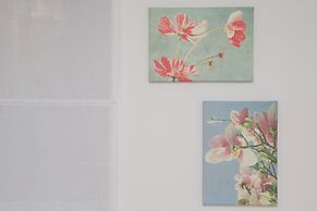 Nishi-Sugamo Guest House. 2min to Nishi-Sugamo Sta. 13min to Ikebukuro