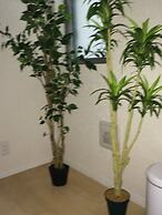 Kasai Guest House, 4min to Kasai Sta, Direct buses to Airport & Disney