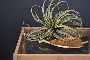 Infinity Hotel -Higawa-