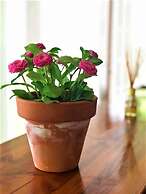 Bungalow 1 dormitorio Montgó