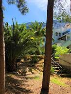 Bungalow 1 dormitorio Montgó