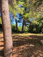 Bungalow 1 dormitorio Montgó