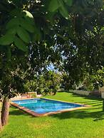 Bungalow 1 dormitorio Montgó