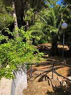 Bungalow 1 dormitorio Montgó