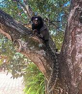 Pousada Pontal do Lago