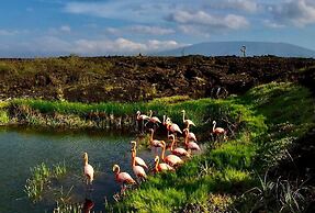 Hotel La Gran Tortuga
