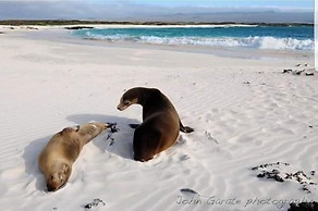Hotel La Gran Tortuga