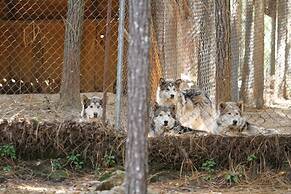 Molinillos Mountain Resort