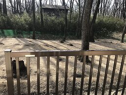 A calm house in the woods