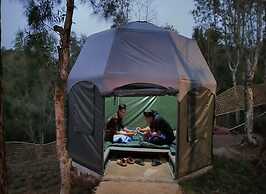 Bukit Lintang Sewu Domping