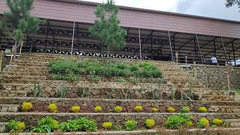 Bukit Lintang Sewu Domping