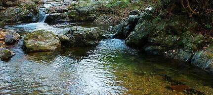Window to the sky Pension