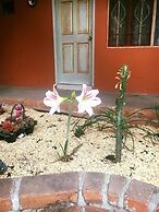 Hotel Posada Andaluz