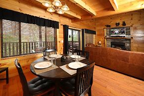 Black Bear Hibernation #2825