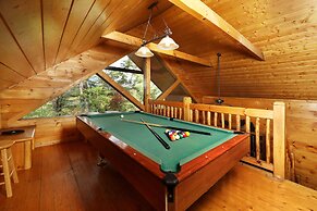 Black Bear Hibernation #2825