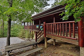 Black Bear Hibernation #2825