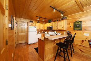 Black Bear Hibernation #2825