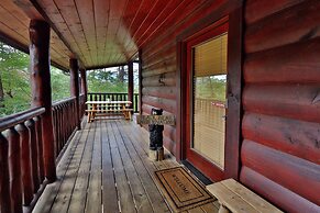 Black Bear Hibernation #2825