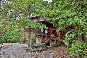 Black Bear Hibernation #2825