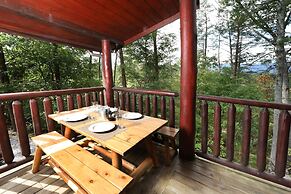 Black Bear Hibernation #2825