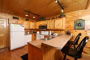 Black Bear Hibernation #2825