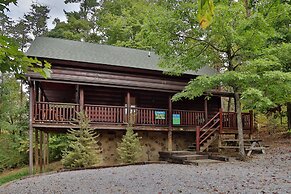 Black Bear Hibernation #2825