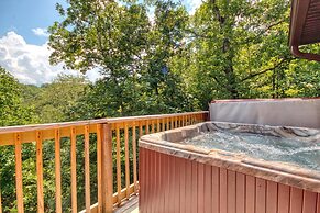 Black Bear Cinema #4819