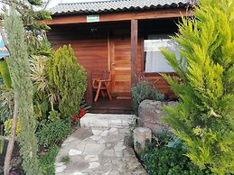 Cabañas la finca 2