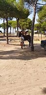 Laguna Formosa - Holidays in the Algarve
