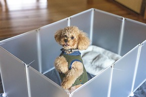 Vacation rentals -sui-