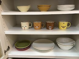 Hakone Current Uenoyama