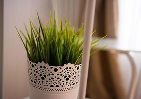 Guesthouse Two Friends Dubrovnik Palace