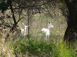 Klipfontein Game Reserve