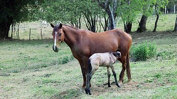 Pousada Spa São Sebastião