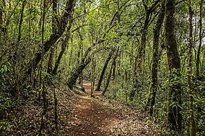 Bendito Cacao Resort & Spa