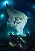 OUTRIGGER Kona Resort and Spa