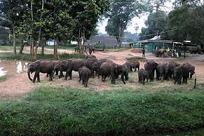 The Grand Leisure Villa