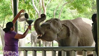 The Grand Leisure Villa