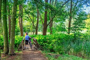 Parkpension Burg im Spreewald