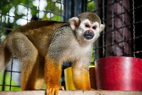 Hotel Boutique La Pergola