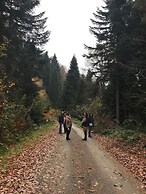 Yesil Dus Vadisi Bungalow Restoran