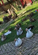 Yesil Dus Vadisi Bungalow Restoran