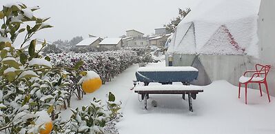 Jeju Starlight Glamping