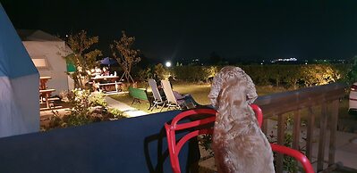 Jeju Starlight Glamping