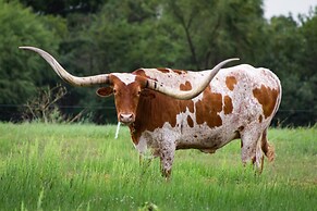 Moon River Ranch