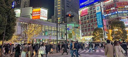 American Vintage Suite