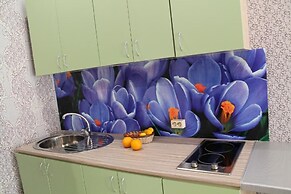 Sochi Sakvoyage Apartments