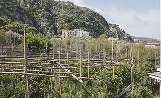 Villa Salvocarmelina