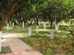 Mouzaliko Guesthouse Mansion